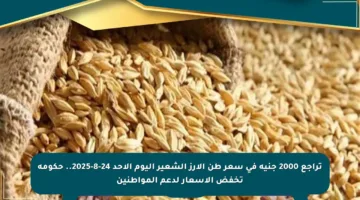 تراجع 2000 جنيه في سعر طن الأرز الشعير اليوم الأحد 24-8-2025.. حكومة تخفض الأسعار لدعم المواطنين